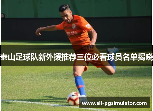 泰山足球队新外援推荐三位必看球员名单揭晓