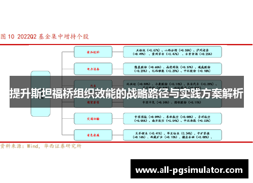 提升斯坦福桥组织效能的战略路径与实践方案解析