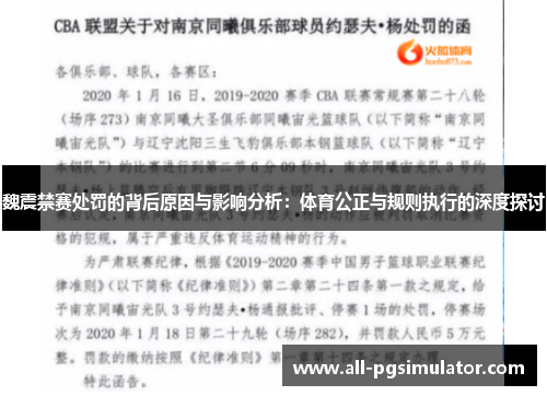 魏震禁赛处罚的背后原因与影响分析：体育公正与规则执行的深度探讨